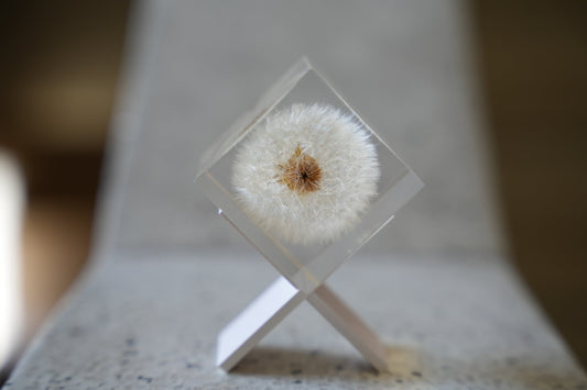 Sola cube Stand — 画像2